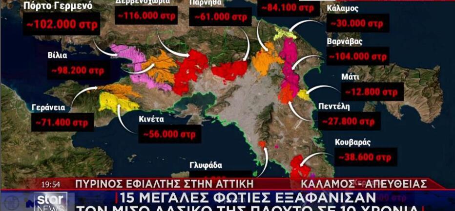 Πόσο καιρό παίρνει σε ένα δάσος να πρασινίσει ξανά μετά από πυρκαγιά