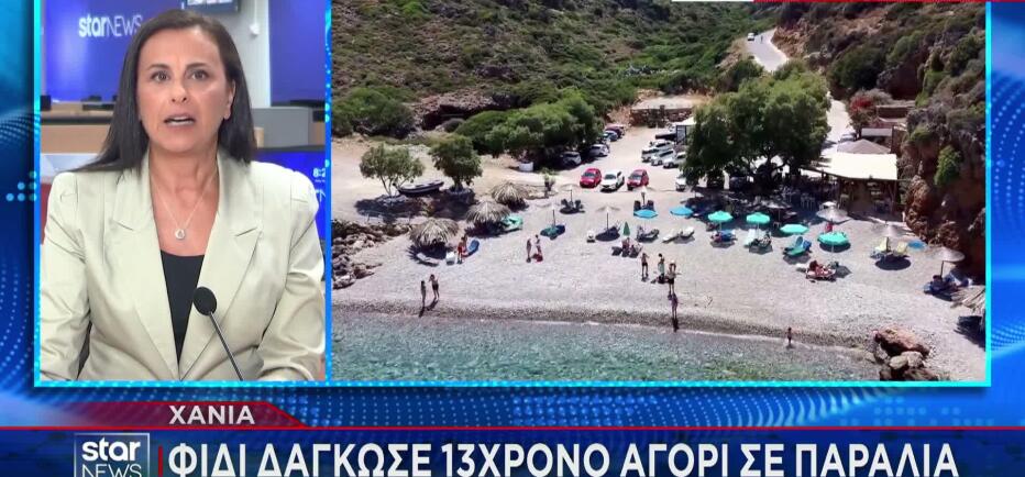 Χανιά: Φίδι δάγκωσε 13χρονο σε παραλία
