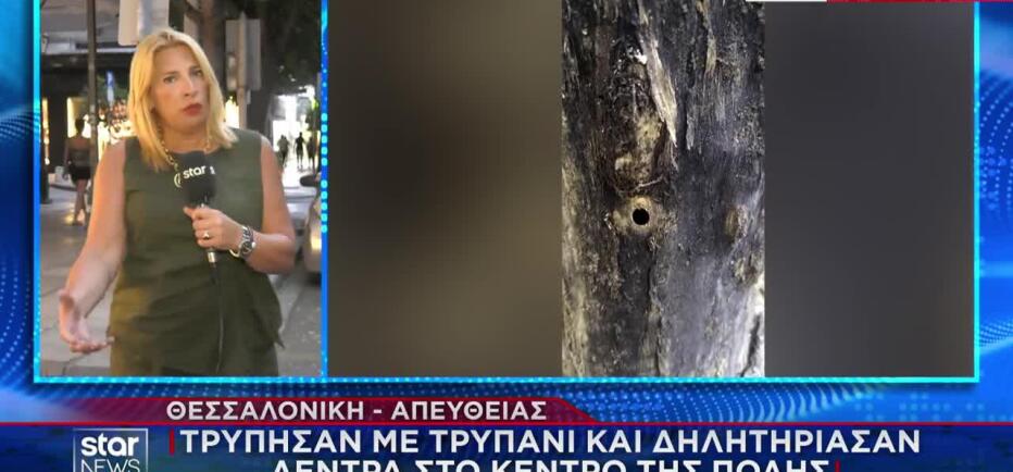 Θεσσαλονίκη: Τρύπησαν με τρυπάνι και δηλητηρίασαν δύο δέντρα