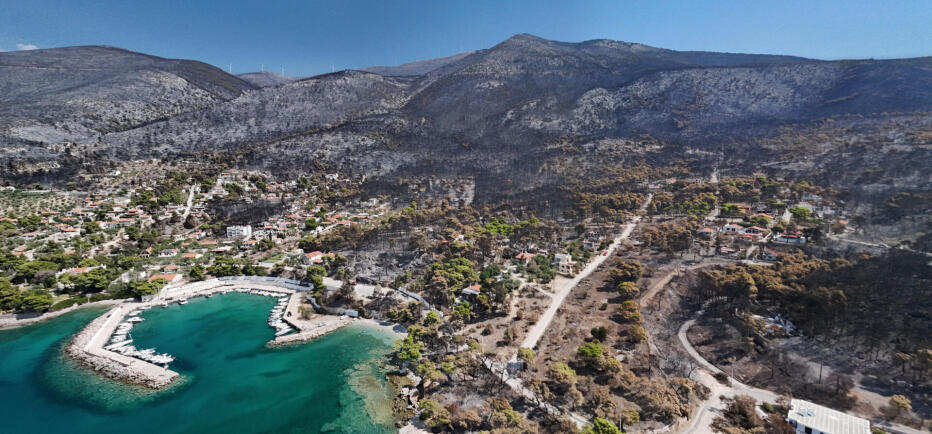 Πυρκαγιές: Πόσο πράσινο έχει απομείνει στην Αττική - «Ξεμένουμε από δάση»