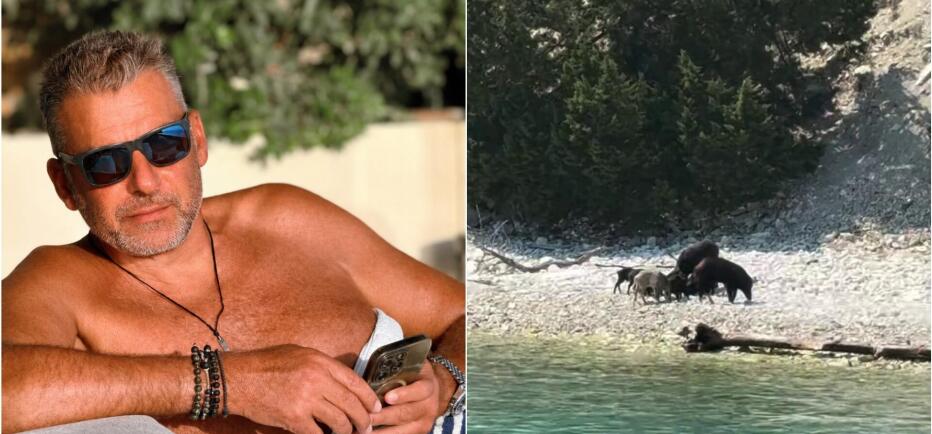 Γιώργος Λιάγκας - Το σχόλιο από την Άτοκο: «Άνθρωποι και γουρούνια».