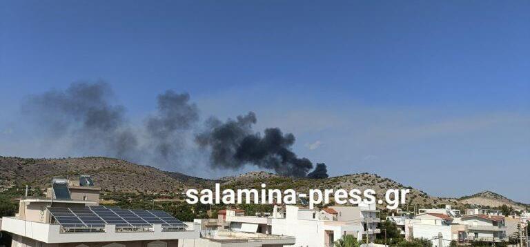 Φωτιά και στη Σαλαμίνα σε δασική έκταση