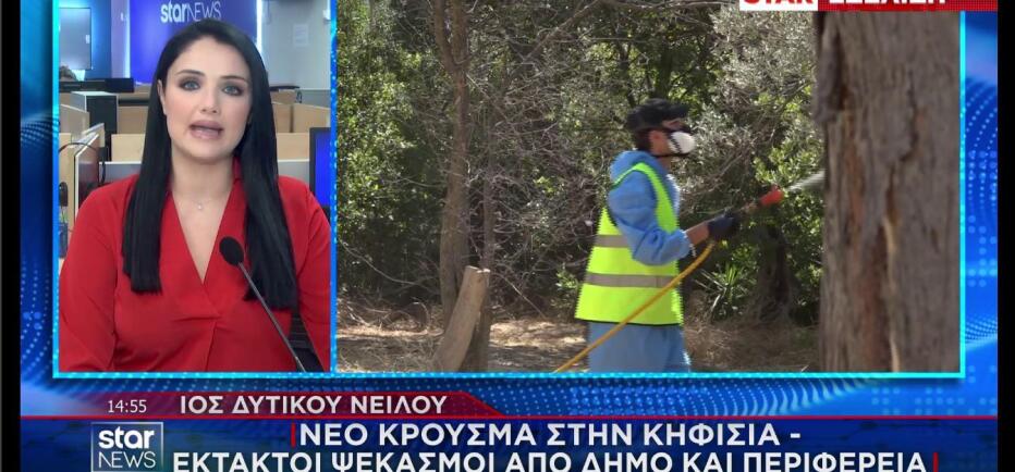 Ιός Δυτικού Νείλου: Νέα κρούσματα σε  Κηφισιά και Κρήτη
