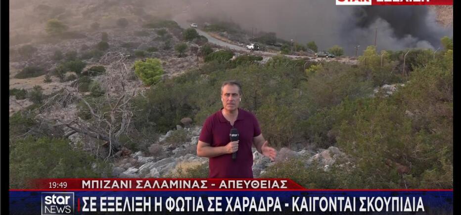 Φωτιά και στη Σαλαμίνα σε δασική έκταση