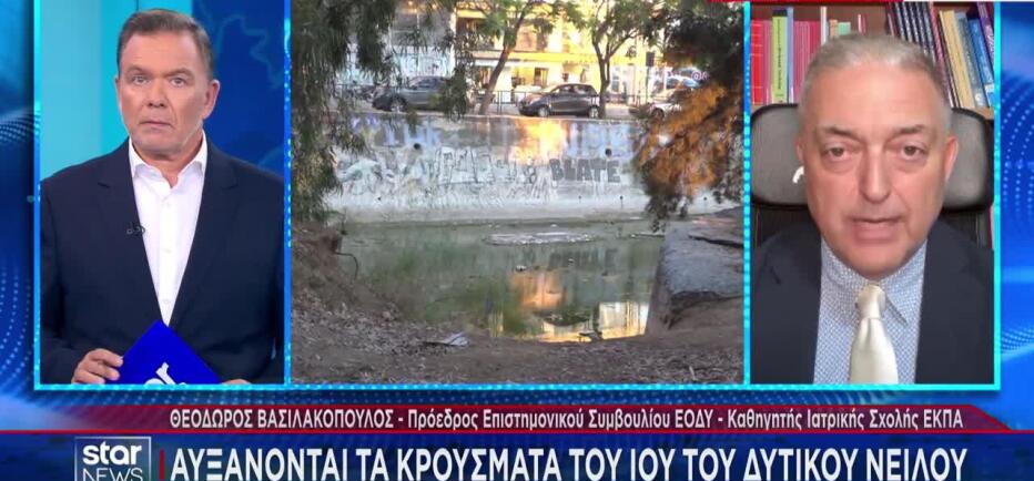 Ιός Δυτικού Νείλου: Νέες περιοχές με κρούσματα - Γιατί αυξήθηκαν φέτος