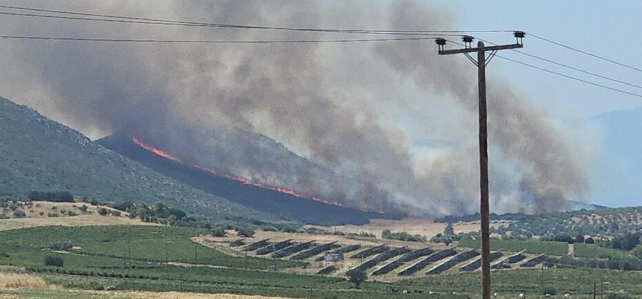 Φωτιά τώρα στον Μύτικα Θήβας - Επιχειρούν οκτώ αεροσκάφη