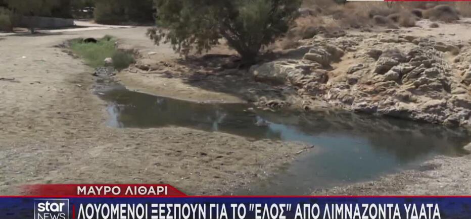 Μαύρο Λιθάρι: Πολίτες Ξεσπούν Για Το Έλος Στην Παραλία