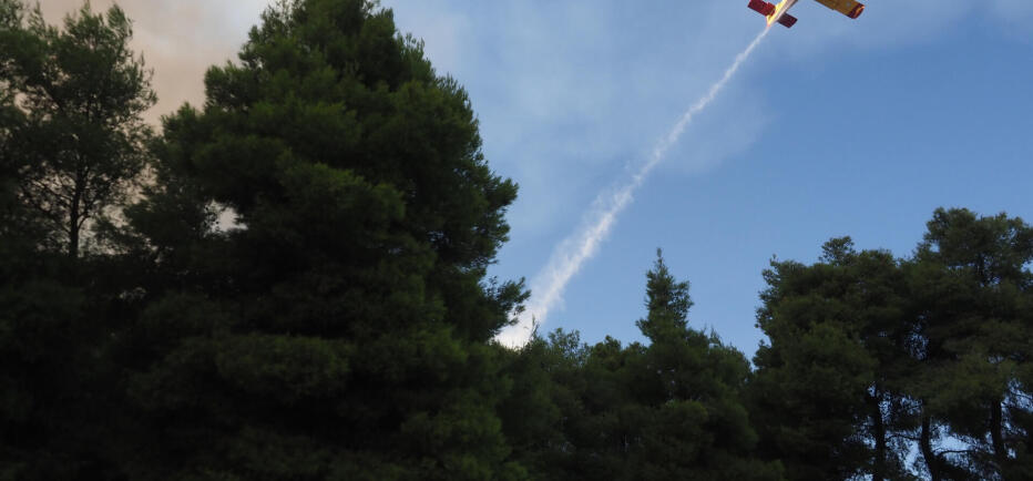 Φωτιά τώρα στις Λεύκες Πάρου - Σηκώθηκαν 6 εναέρια μέσα