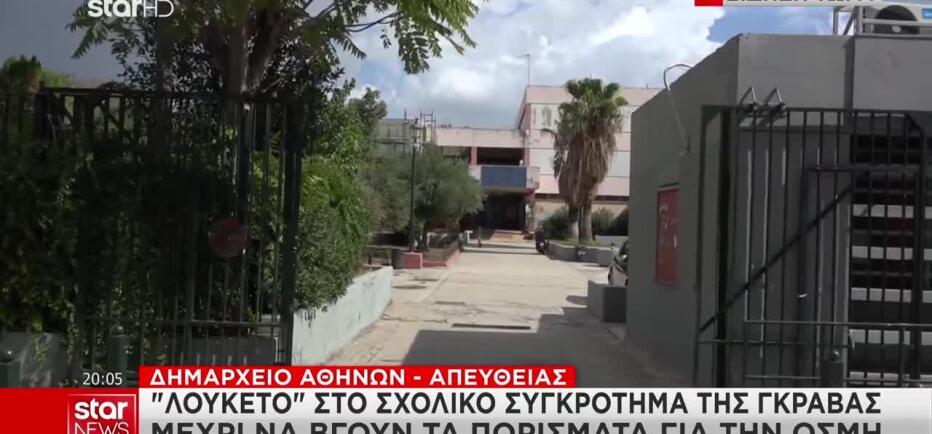 Γκράβα: Μέσω τηλεκπαίδευσης τα μαθήματα για όσο μείνουν κλειστά τα σχολεία