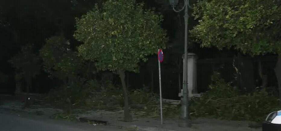 Έπεσε μεγάλο δέντρο στην Ηρώδου Αττικού – Διακόπηκε η κυκλοφορία