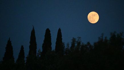 ΠΑΝΣΕΛΗΝΟΣ